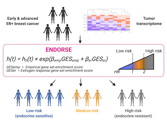 Mol Syst Biol tweet media