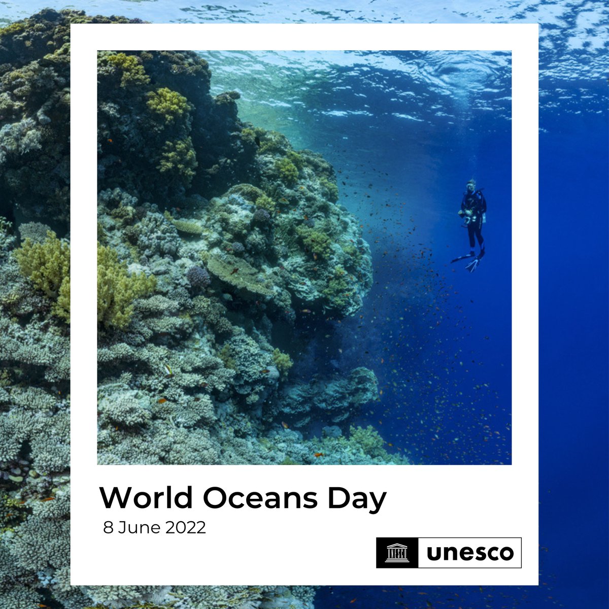 UNESCO's tweet photo. Happy World Oceans Day! 

With every drop of water you drink,
every breath you take,
you're connected to the sea
...no matter where on earth you live.

Join us and take action to #SaveOurOcean because our ocean is our future: https://t.co/raPDQwNEmJ #WorldOceansDay #GlobalGoals https://t.co/lw58J5WAbQ