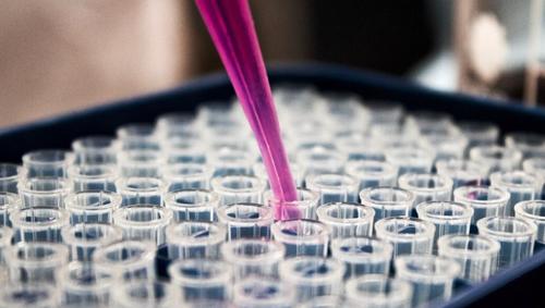 Limportant_fr's tweet photo. Pour la «première fois dans l'histoire du cancer», tous les patients d'un essai clinique sont en rémission https://t.co/u6zmTfFYlf @DSirmtCom https://t.co/oNN59YLZVP