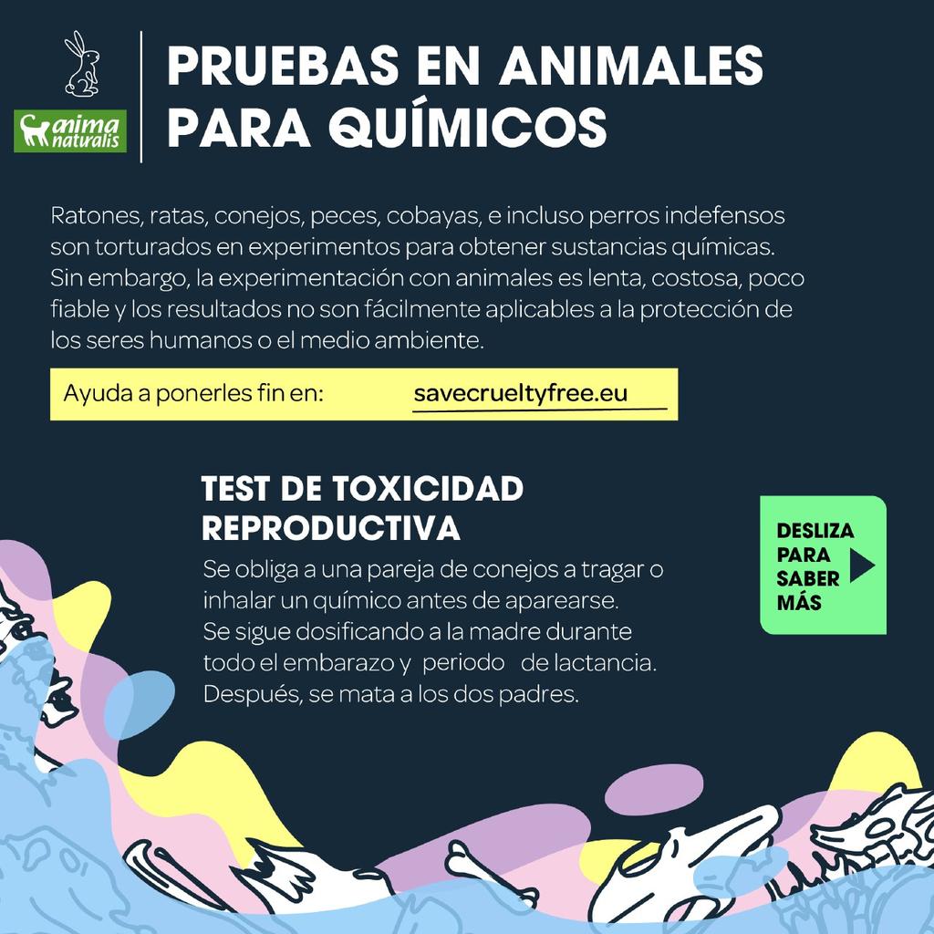 AnimaNaturalis's tweet photo. ๐งช๐ฐ Ratones, ratas, conejos, cobayas e incluso perros son torturados en experimentos para obtener sustancias quรญmicas.
๐น Los animales no pueden firmar por sรญ mismos, asรญ que demos hacerlo por ellos: https://t.co/qw9iZTMxL3
โ๏ธ, โค๏ธ y RT
#SaveCrueltyFreeCosmetics https://t.co/rWxgnnLh9R