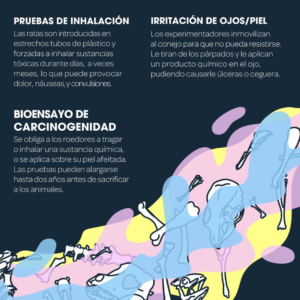 AnimaNaturalis's tweet photo. ๐งช๐ฐ Ratones, ratas, conejos, cobayas e incluso perros son torturados en experimentos para obtener sustancias quรญmicas.
๐น Los animales no pueden firmar por sรญ mismos, asรญ que demos hacerlo por ellos: https://t.co/qw9iZTMxL3
โ๏ธ, โค๏ธ y RT
#SaveCrueltyFreeCosmetics https://t.co/rWxgnnLh9R