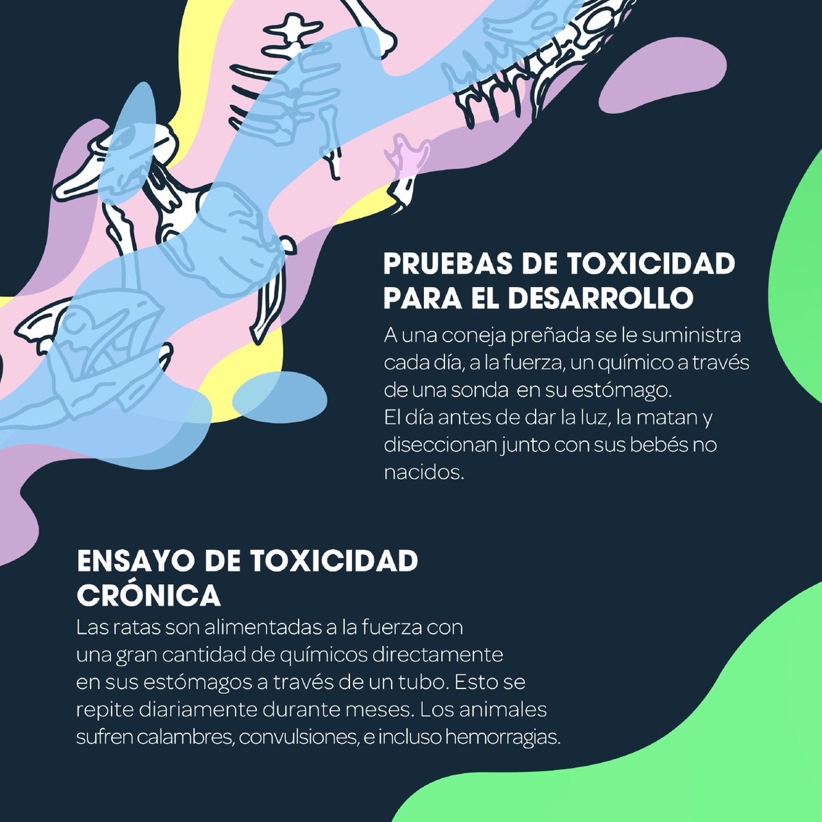 AnimaNaturalis's tweet photo. ๐งช๐ฐ Ratones, ratas, conejos, cobayas e incluso perros son torturados en experimentos para obtener sustancias quรญmicas.
๐น Los animales no pueden firmar por sรญ mismos, asรญ que demos hacerlo por ellos: https://t.co/qw9iZTMxL3
โ๏ธ, โค๏ธ y RT
#SaveCrueltyFreeCosmetics https://t.co/rWxgnnLh9R