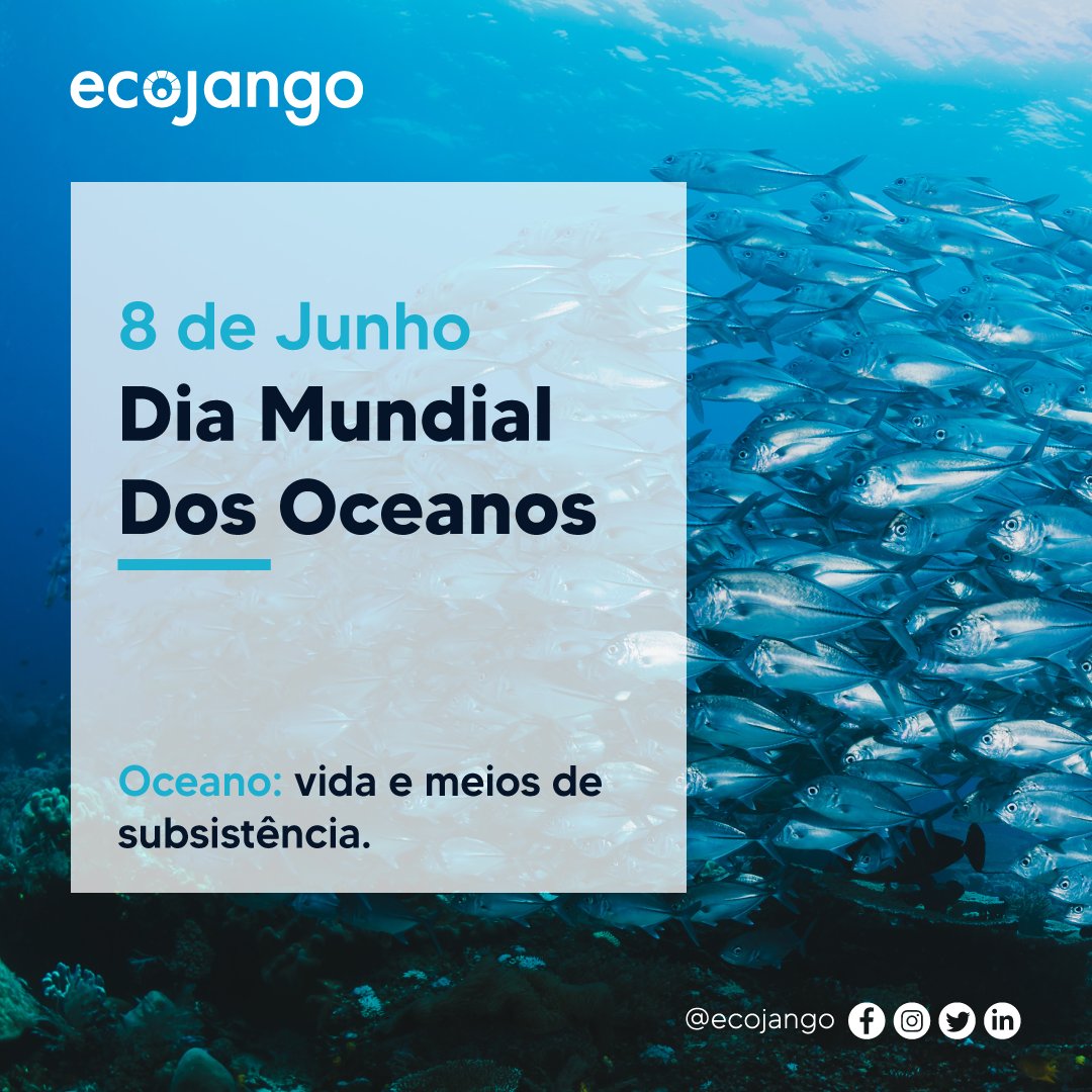 EcoJango's tweet photo. Hoje celebramos o Dia Mundial dos Oceanos🌊

Precisa de organizar um evento verde e não sabe por onde começar? Deixe-nos ajudá-lo, entre em contacto:

📩 geral@ecojango.com
☎ (+244) 925 784 097

#ecojango #ecoangola
#diamundialdosoceanos https://t.co/NReJsqAWWm