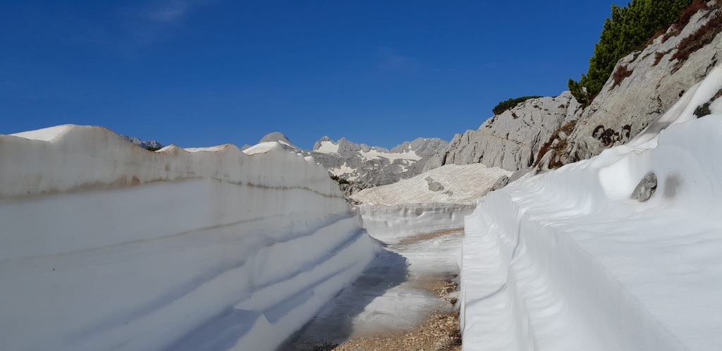DachsteinKripp's tweet photo. ✨NEWS✨Der Weg zum Dachstein-Hai 🦈 ist frei begehbar - ein besonderes Erlebnis der Gang vorbei an den Schneewänden ❄️ UND am Samstag, 11. Juni startet Teilstrecke 3 Gjaid den Betrieb!  

👉 Info Dachstein-Hai: https://t.co/zj6noX6Rr3

#dachsteinkrippenstein #wandern #placetobe https://t.co/2OlrEAC3GU