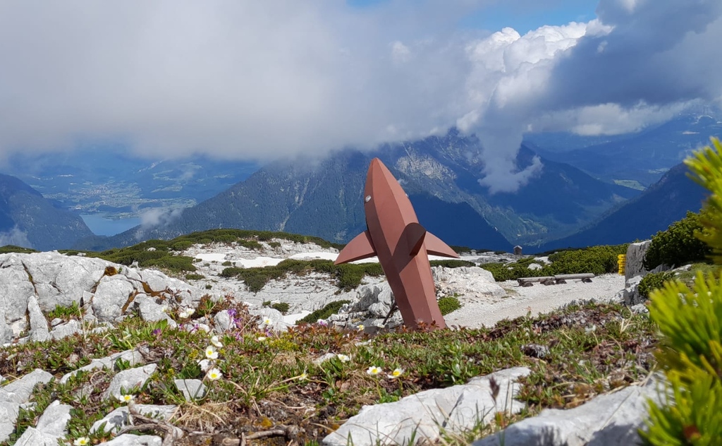 DachsteinKripp's tweet photo. ✨NEWS✨Der Weg zum Dachstein-Hai 🦈 ist frei begehbar - ein besonderes Erlebnis der Gang vorbei an den Schneewänden ❄️ UND am Samstag, 11. Juni startet Teilstrecke 3 Gjaid den Betrieb!  

👉 Info Dachstein-Hai: https://t.co/zj6noX6Rr3

#dachsteinkrippenstein #wandern #placetobe https://t.co/2OlrEAC3GU