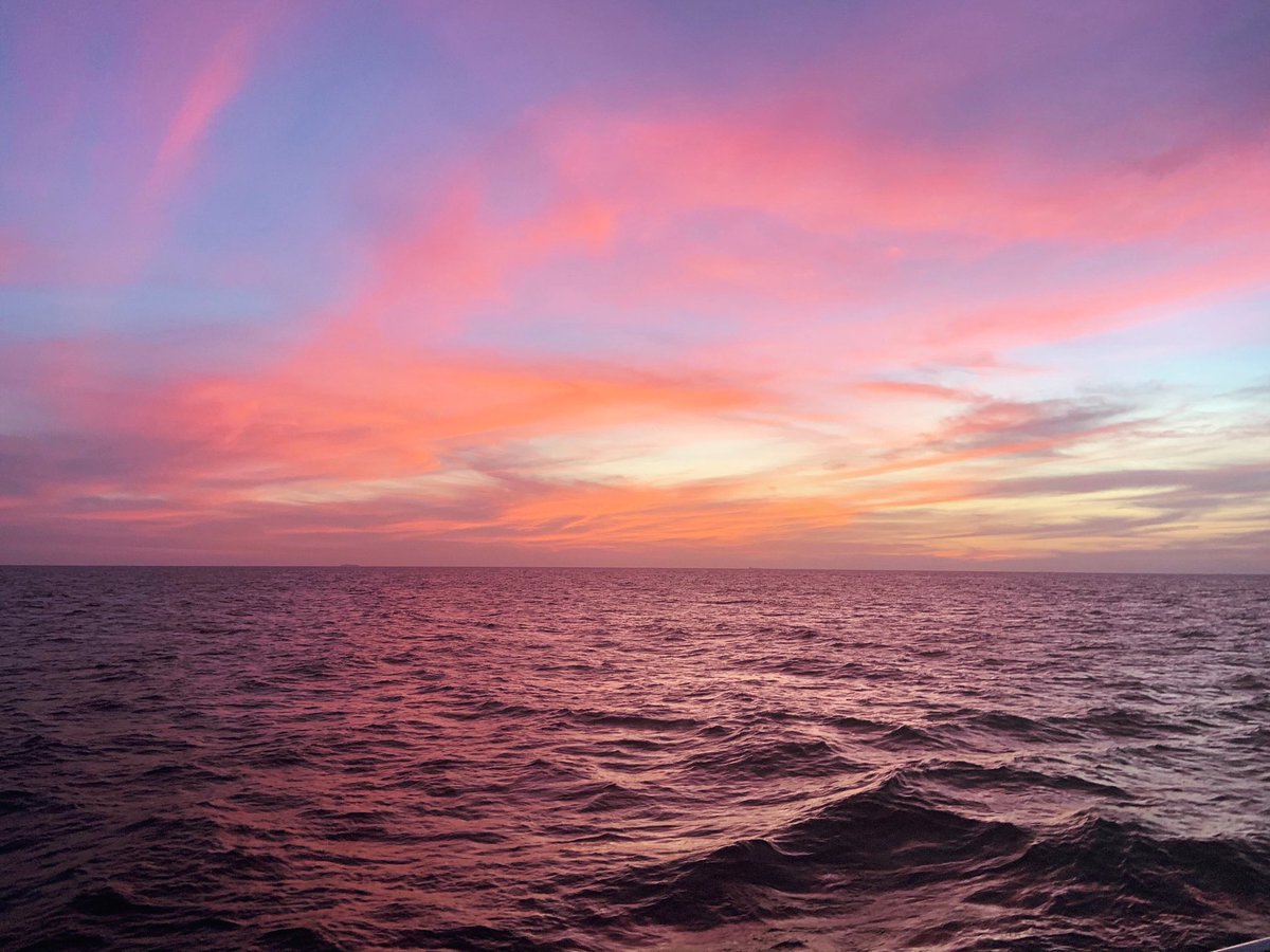 OK, so we may be based right in the middle of the island and have a bit of a thing for forests..but we love a little time on the coast as well! 

Especially as #SriLanka has some of the most beautiful beaches in the world. 

Happy #WorldOceansDay everyone!