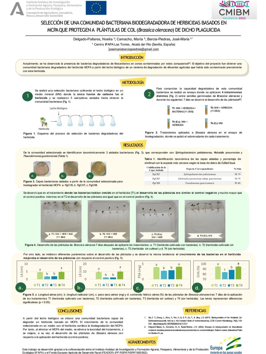 Noelia Delgado Pallares tweet media