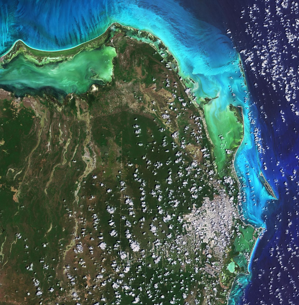 ESA_EO's tweet photo. Oceans cover far more of the Earth’s surface than the land - in all about 71% 🌊

But they are under stress from #climate change, pollution and ocean acidification, which all affect ecosystems and biodiversity. 
🛰️Malé
🛰️Tarawa
🛰️Cancún
🛰️Shetland Islands

#WorldOceansDay2022 https://t.co/fCSz7pVocL