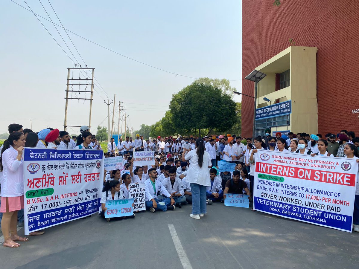 We,the students of GADVASU are protesting for #IncreaseInternshipAllowance from 6200/- to 17000/- per month since 3 days. We are not getting any response from <a href="/AAPPunjab/">AAP Punjab</a>.
#gadvasuvetunion
<a href="/PMOIndia/">PMO India</a> <a href="/narendramodi/">Narendra Modi</a> <a href="/AmitShah/">Amit Shah</a> <a href="/mssirsa/">Manjinder Singh Sirsa</a> @Murugan_MoS <a href="/BhagwantMann/">Bhagwant Mann</a> <a href="/KuldeepSinghAAP/">Kuldeep Singh Dhaliwal</a>