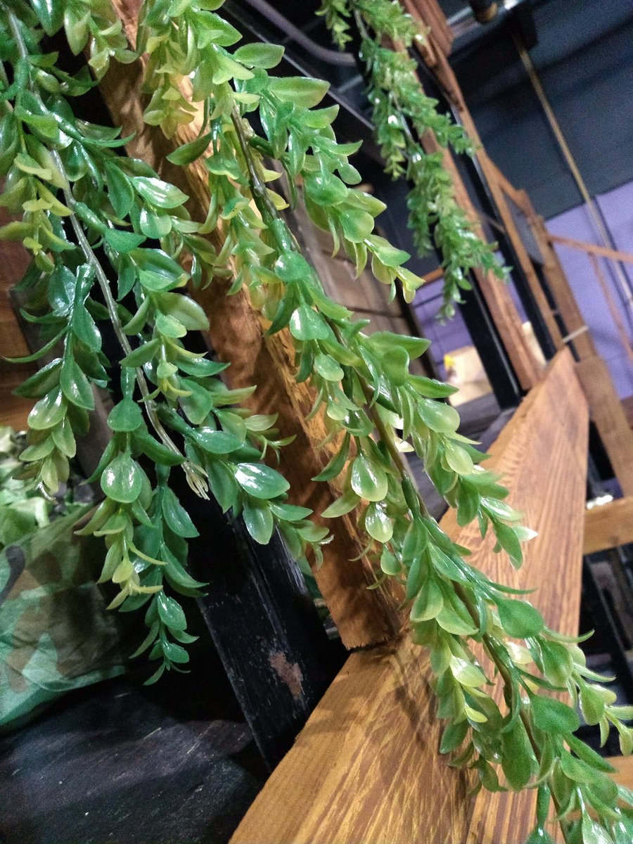 #Throwback to this time last year but can you remember the show? 
#felstedperforms