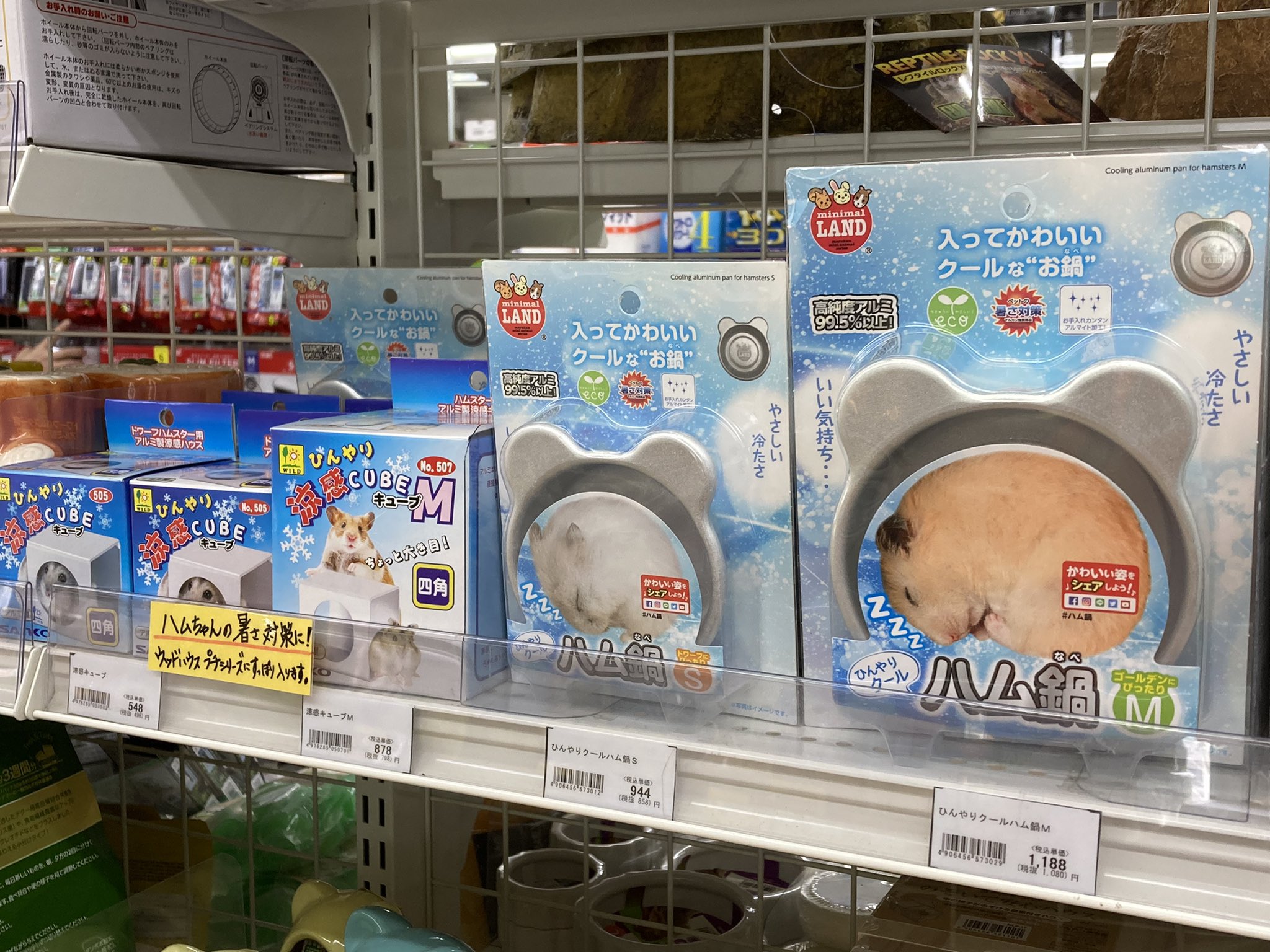かねだい横浜店 だんだん暑くなってきましたね 小動物用のひんやり商品色々入荷しました T Co Cavwmqp9 Twitter