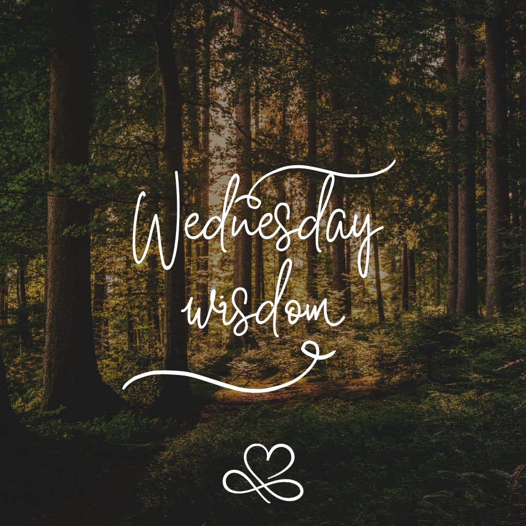 towardbetteryou's tweet photo. Never doubt/ judge your ways of expressing your emotions, feelings, thoughts &amp; behaviours, just because others around you don’t know how to do it. You have every right to do that.
That’s one way of meeting your truest self 
 #wednesday #self #expressyourself #wisdom #beyourself https://t.co/uZwnoP50WU