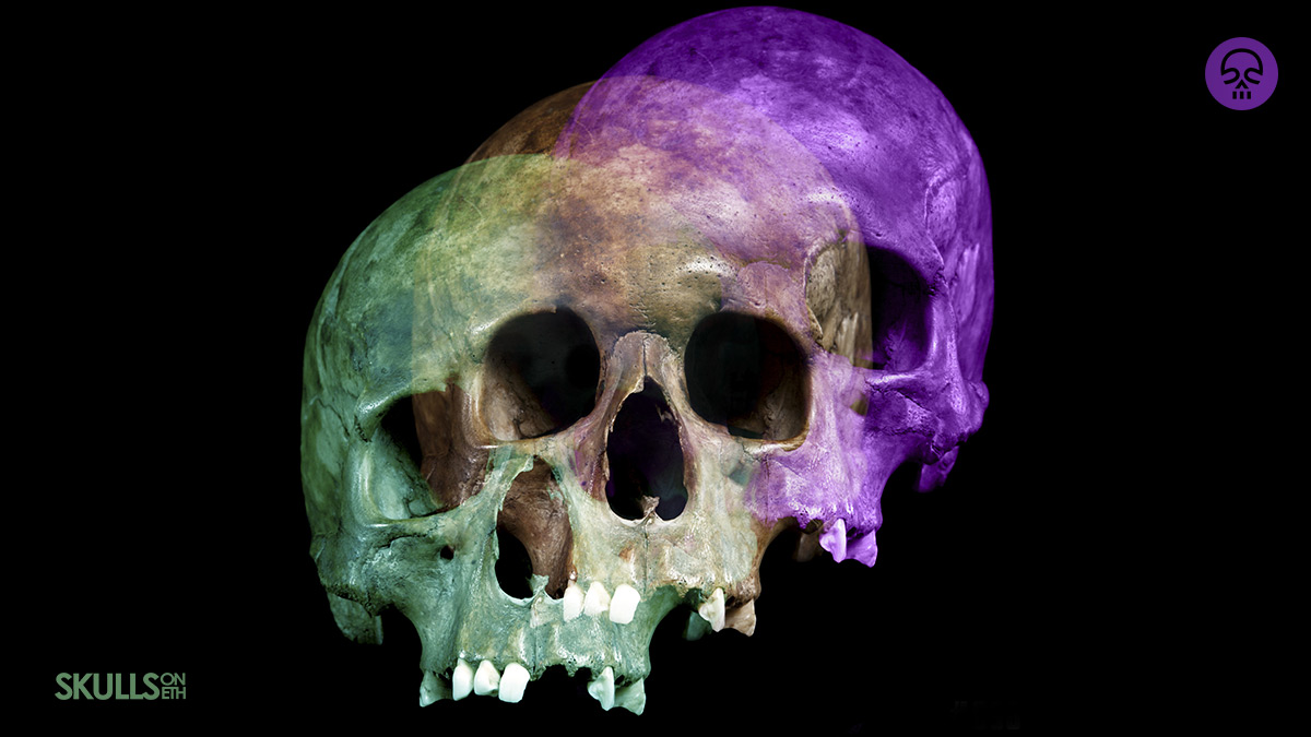SkullsOnETH's tweet photo. My view after a few 💀😇💀
#nftart #skulls #Skullsquad https://t.co/Lnt56yeBCm