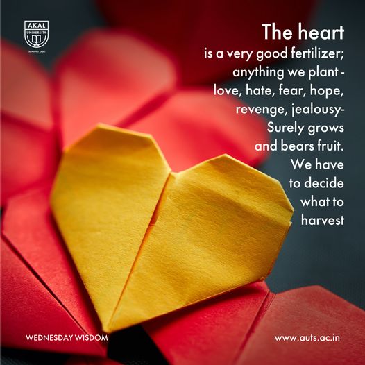 UniversityAkal's tweet photo. Wednesday Wisdom
The heart is a very good fertilizer; anything we plant - love, hate, fear, hope, revenge, jealousy- Surely grows and bears fruit. We have to decide what to harvest.
#WednesdayWisdom #AkalUniversity #HappyWednesday #LearningWorks https://t.co/fdlgJYZRrX