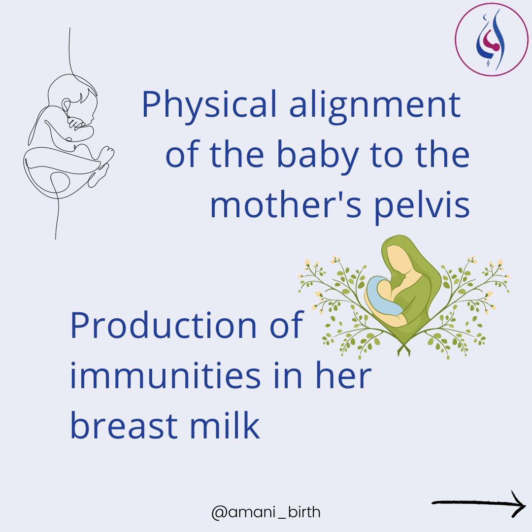AMANI_Birth's tweet photo. 🌸A women's emotional signs are more indicative to measure which stage of labor she is in and her doctor can note that and also adjust their activities to best support her through this time.

#pregnancy #birth #stagesoflabor #laborprogress #doula https://t.co/SSEzHfN5JU