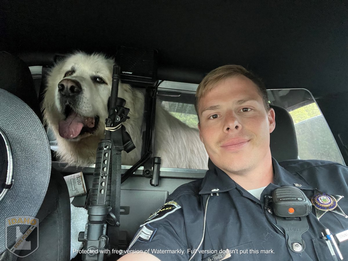 ISPRCCN's tweet photo. These are our favorite kind of arrests. Trooper's Mohr and Juber located some K9 companions roadside who wanted to do a "ride along" for the day.   Come do your own "ride along" in our Communication Center and see if this may be the career for you. @ISPCentralIdaho @ISPNorthIdaho https://t.co/0QJ7xygkOW