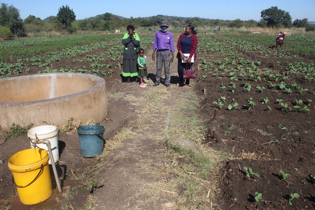 CGCDZ_OFFICIAL tweet media