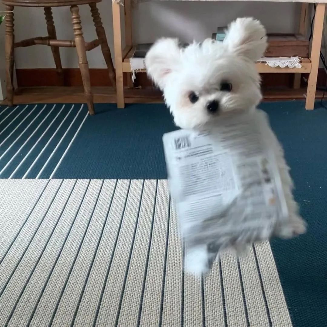 ɢ ᴏ ᴛ tweet media