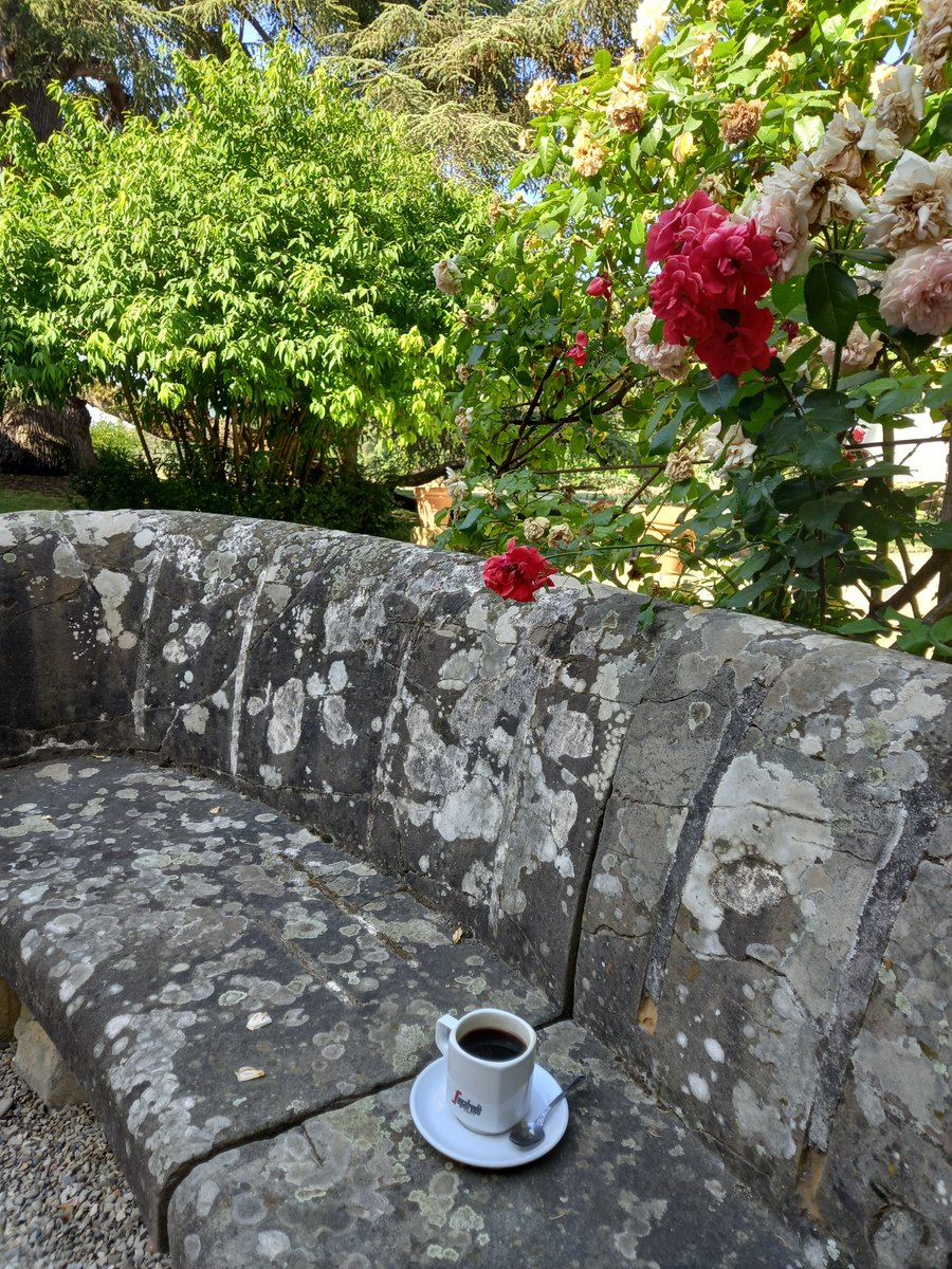 EUI Intellectual History (IHWG) (@inthiseui) on Twitter photo Getting ready for day 2 of the 'Uses of History' conference with a coffee in the garden. Yesterday's speakers gave us a lot to think about! Thank you <a href="/amy_chandran/">Amy Chandran</a>, <a href="/KarlisSils/">Kārlis Sils</a>, Alexander Collin, Robert Cheah and <a href="/emilymdyson/">Emily Dyson</a>, @CelaAldri, <a href="/tsionalida/">Tsiona Lida</a> and <a href="/ThomasOCryer/">Tom Cryer</a> Getting ready for day 2 of the 'Uses of History' conference with a coffee in the garden. Yesterday's speakers gave us a lot to think about! Thank you <a href="/amy_chandran/">Amy Chandran</a>, <a href="/KarlisSils/">Kārlis Sils</a>, Alexander Collin, Robert Cheah and <a href="/emilymdyson/">Emily Dyson</a>, @CelaAldri, <a href="/tsionalida/">Tsiona Lida</a> and <a href="/ThomasOCryer/">Tom Cryer</a>