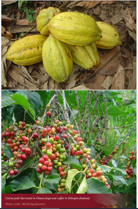 CIFOR-ICRAF tweet media