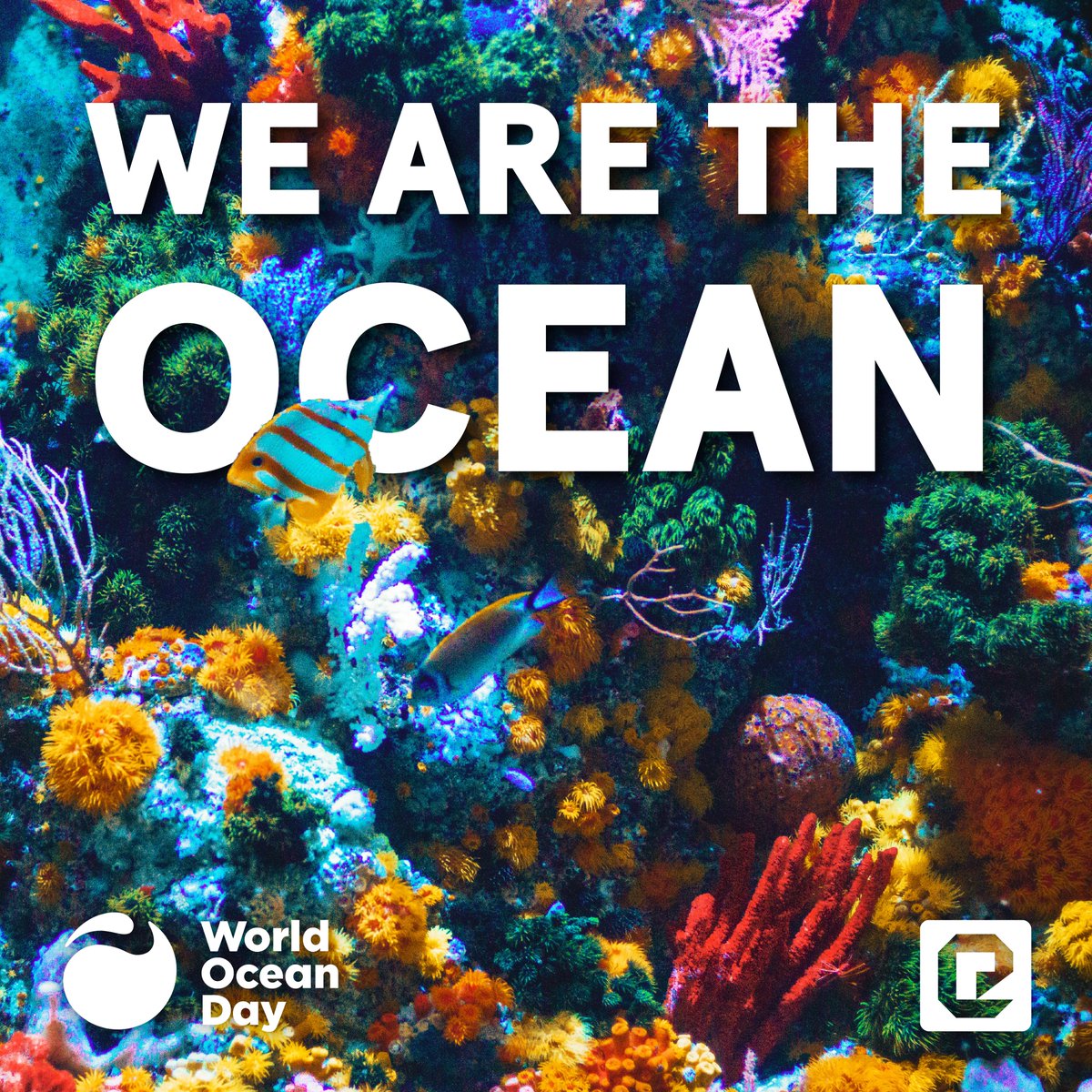 Happy #WorldOceansDay! 🌊
The oceans are important because of their biodiversity, impact on health and well-being, and influence on climate and weather patterns that affect the planet. It’s time for action to keep our seas alive.
TOGETHER for one ocean, one climate, one future.