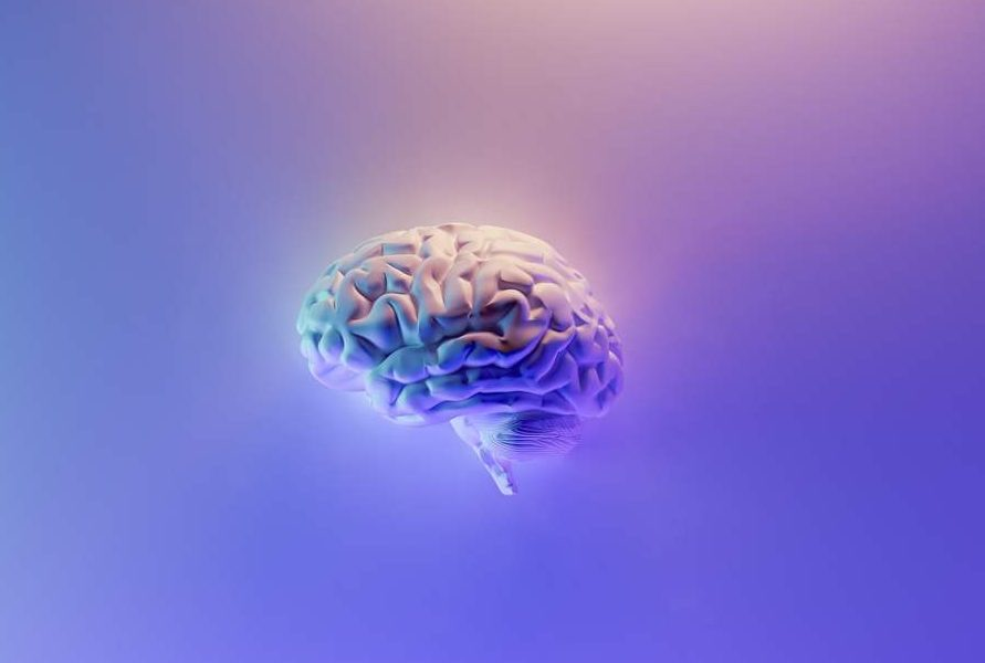 Ecco cosa rende unico il #cervello umano: bit.ly/3O2H008
#neuroscienze #neuroni