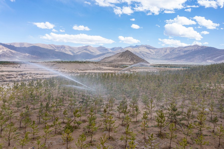 XHNews's tweet photo. #InTibet The middle reaches of the Yarlung Zangbo River, once stretched of barren land with sandstorms raging in spring and winter, now see a sea of green trees all over the place https://t.co/5z9AY0N1Si https://t.co/g7UXr4AZ5r