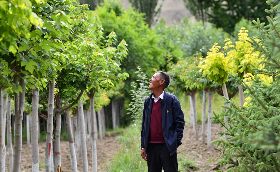 XHNews's tweet photo. #InTibet The middle reaches of the Yarlung Zangbo River, once stretched of barren land with sandstorms raging in spring and winter, now see a sea of green trees all over the place https://t.co/5z9AY0N1Si https://t.co/g7UXr4AZ5r