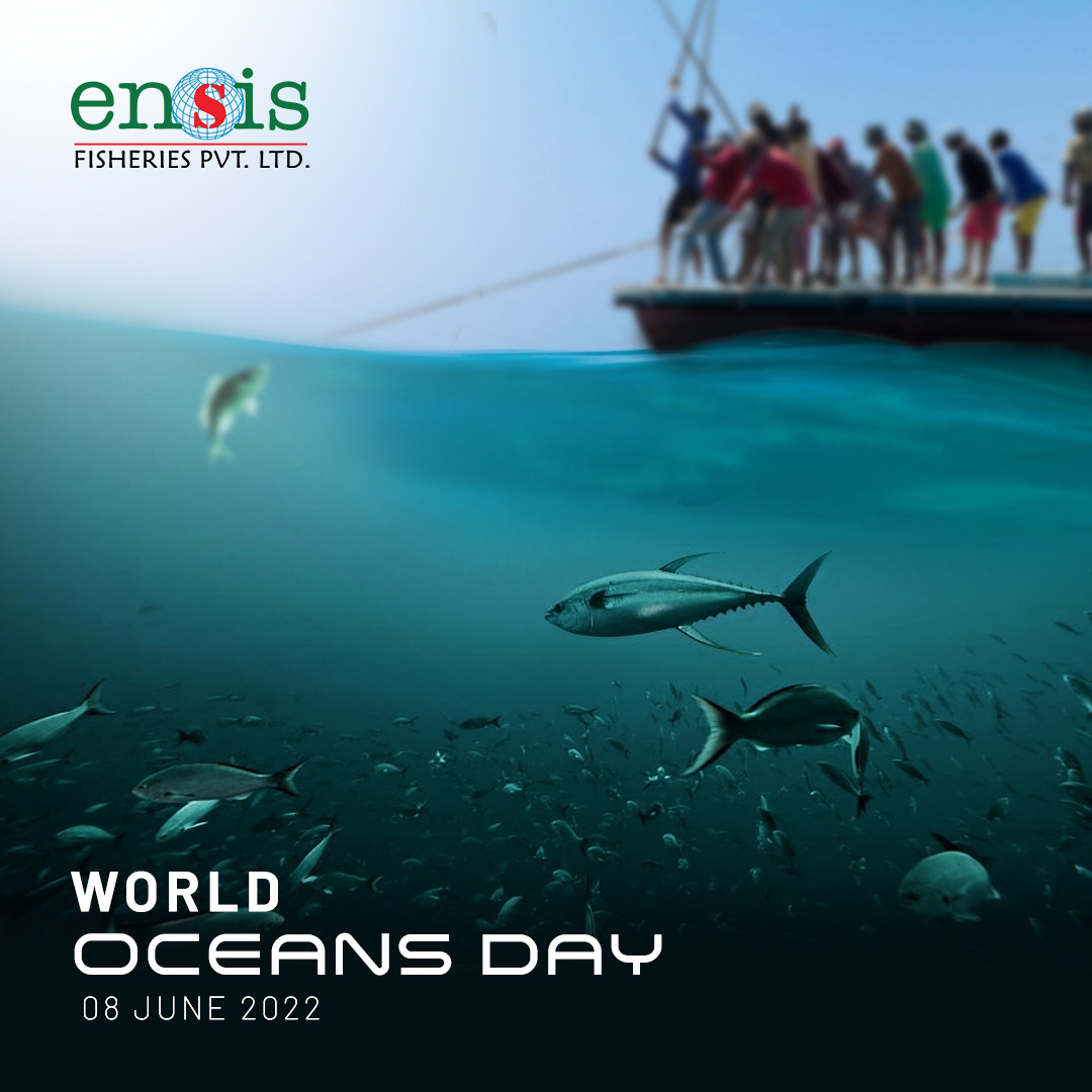 We have a strong connection with oceans, they are the reason for our very existence, they are the source of inspiration. Let us make #worldsoceanday more meaningful by making contributions at our levels in saving them. #worldsoceanday2022