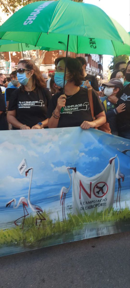 lagentdelfang's tweet photo. Avui acomiadem a una de les nostres, a l’Alma Ramírez Gómez, una activista ecofeminista de La Gent del Fang que sempre ha estat lluitant per la defensa del territori. Coherent i fidel, amb idees fermes, sempre ens ha encomanat que amb Il·lusió  i organització tot es pot fer. https://t.co/HvrU8MsOs1