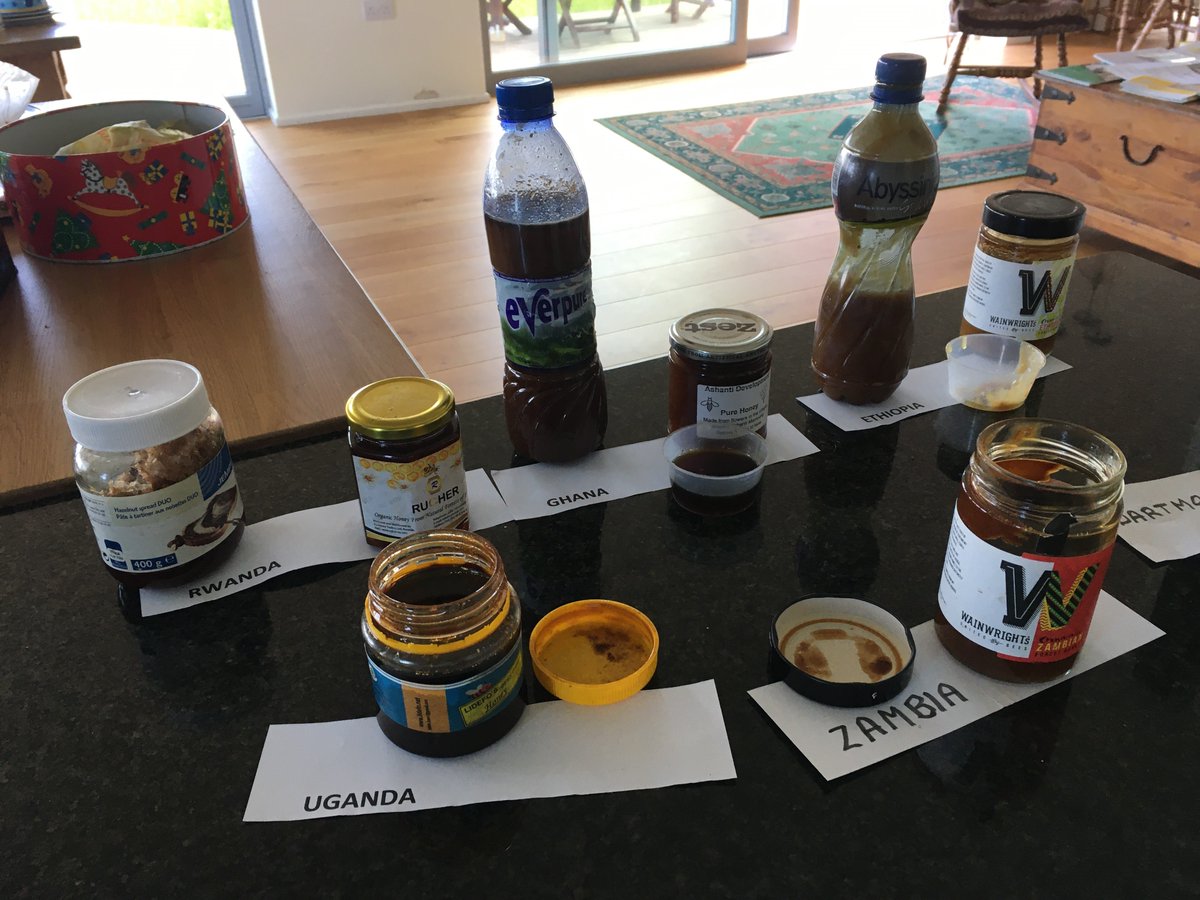 BeesAbroad's tweet photo. Huge thanks to Dawn for organizing a fantastic #WorldBeeDay Garden Party in Devon! African Honey-tasting and Hive display and Prize Raffle. Supporting #beekeepingprojects for #beekeepersforlife
#honeytasting #topbarhives https://t.co/rQWzT5izcY