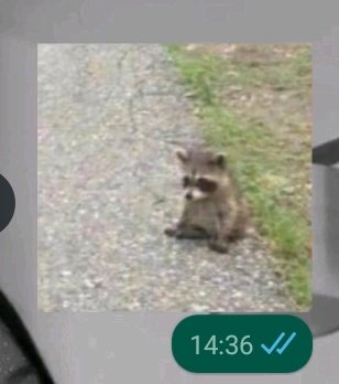 mi unico mood de estos dias