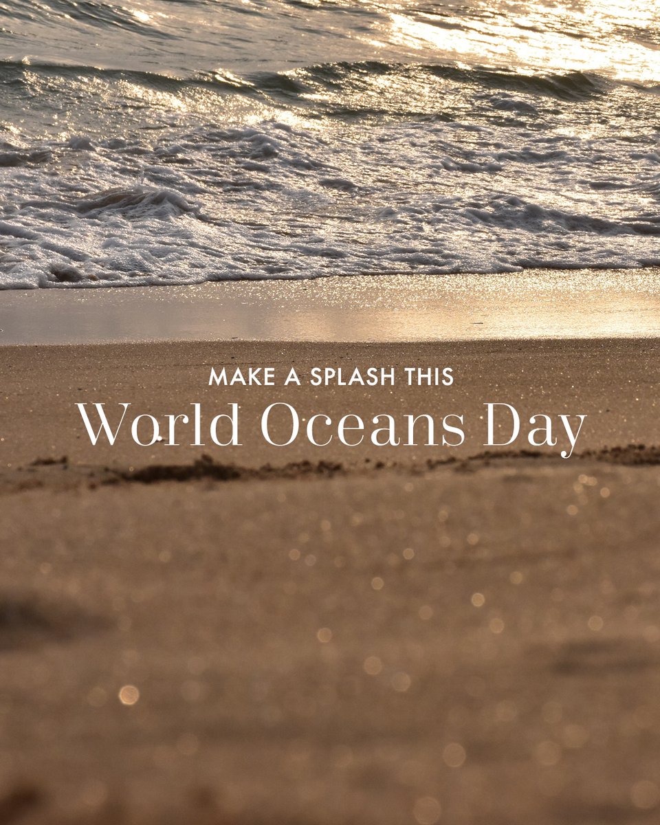 Plain Tiger tweet media