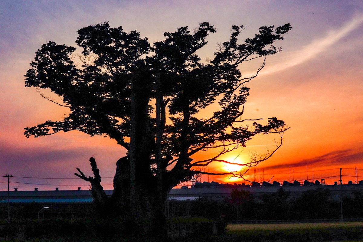 felvmm's tweet photo. #写真好きな人と繋がりたい 
 #いつかの夕陽 https://t.co/c6XeyxP10G