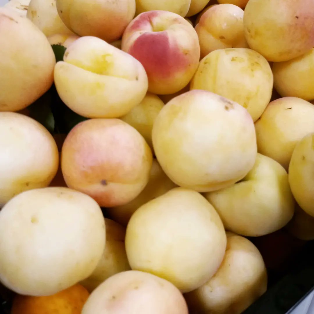 AAgroal's tweet photo. Bresquilles de Cabanes, Cireres de Viver, Albercocs de Torreblanca i per supost Taronges de la terreta. En la Agrobotiga seguim apostant per lo nostre 🍒🍑🍊

#apostamosporlonuestro #delaterreta #lamillorterretadelmon https://t.co/S4SlAhAtvq