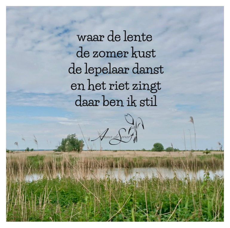 VersjesVanAnna's tweet photo. #Oostvaardersplassen #dichterszwerftocht @AlleMonden Het was prachtig.
#versjesvanannadeswart
https://t.co/TcqMk77tBS https://t.co/euNHPY85j1