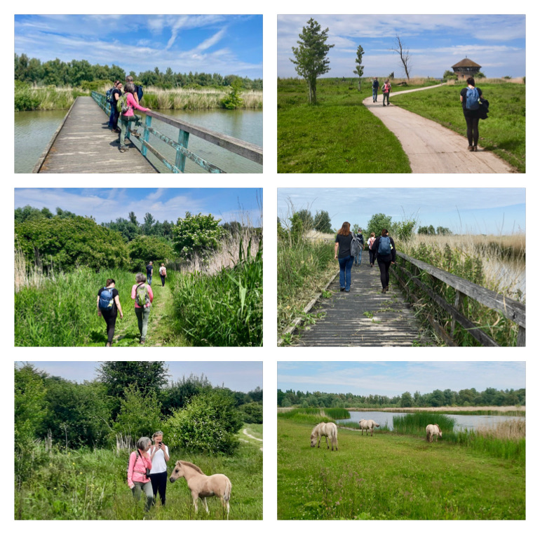 VersjesVanAnna's tweet photo. #Oostvaardersplassen #dichterszwerftocht @AlleMonden Het was prachtig.
#versjesvanannadeswart
https://t.co/TcqMk77tBS https://t.co/euNHPY85j1