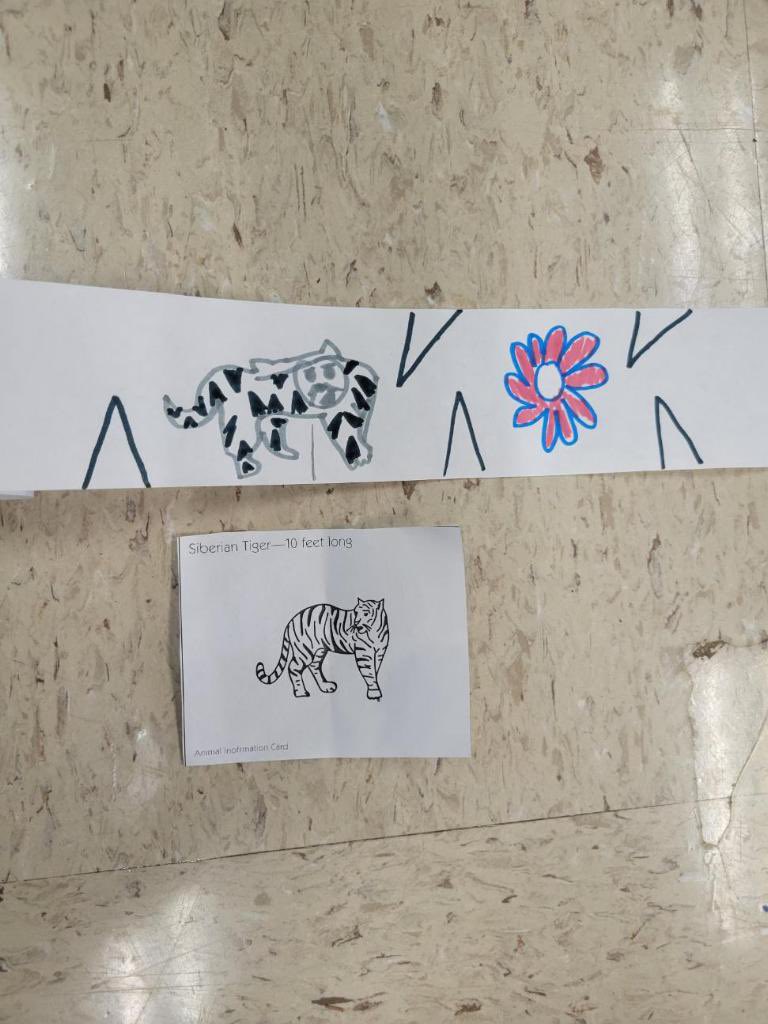 2nd Grade is learning about measurements—students measured out the lengths of various wild animals and then decorated them to represent their animals.  #sumnerachieves #summerscholars2022