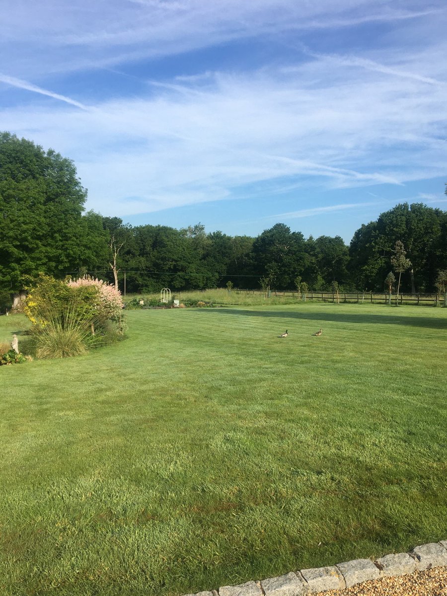 lawntigeruk's tweet photo. It's so nice when our customers send their lawn photos and let us know how they feel - Our valued customer Cathy from Itchingfield sent this photo of her garden and said - "Loving our Luscious Lawn by Lawn Tiger!" Thank you Cathy! https://t.co/ZNwLvEa2PS
