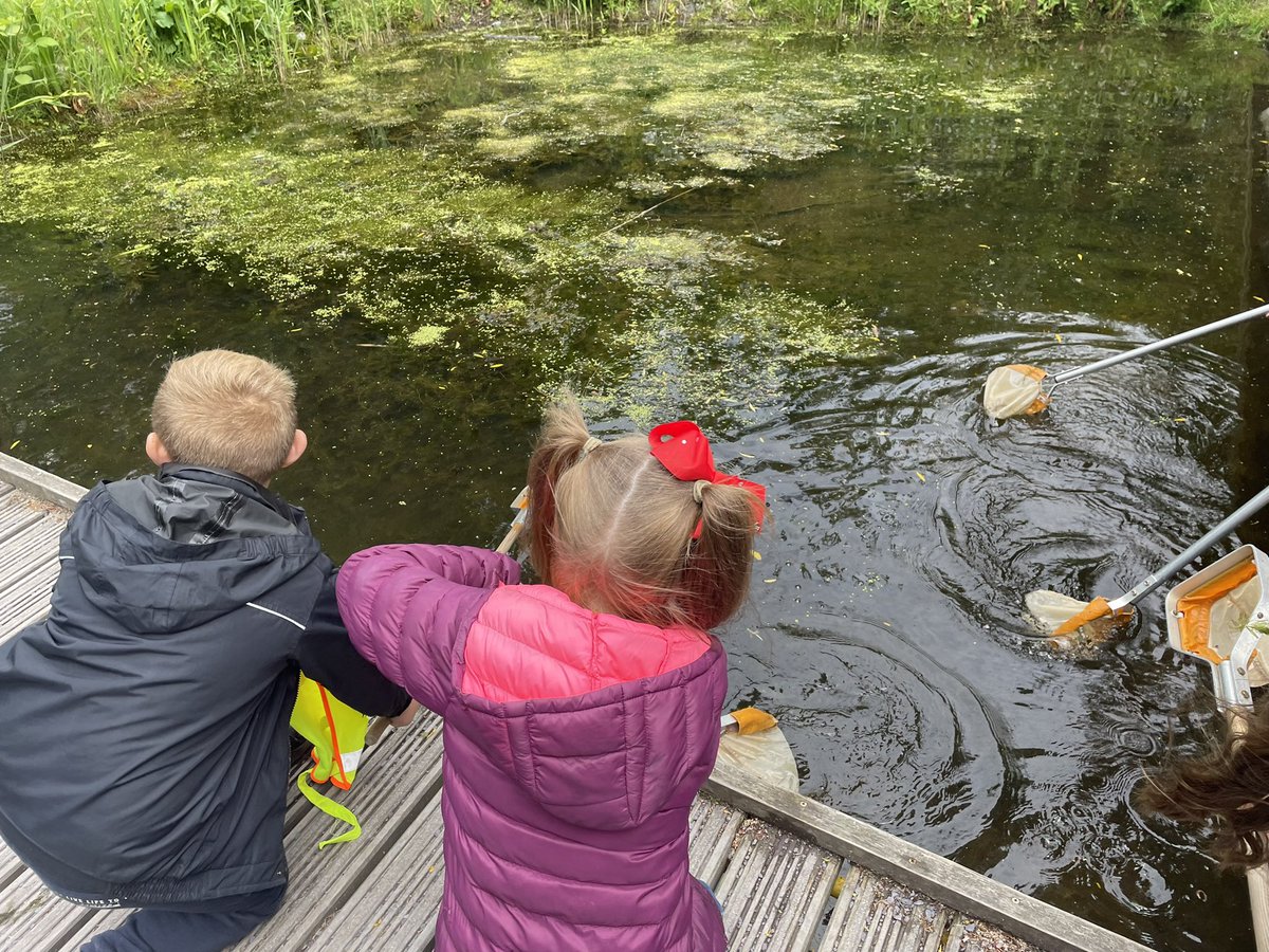 MissSmith2017's tweet image. @YsgolEmmanuel RSPB  searching for pond dipping 🪳🐜😁 #2D #2SO