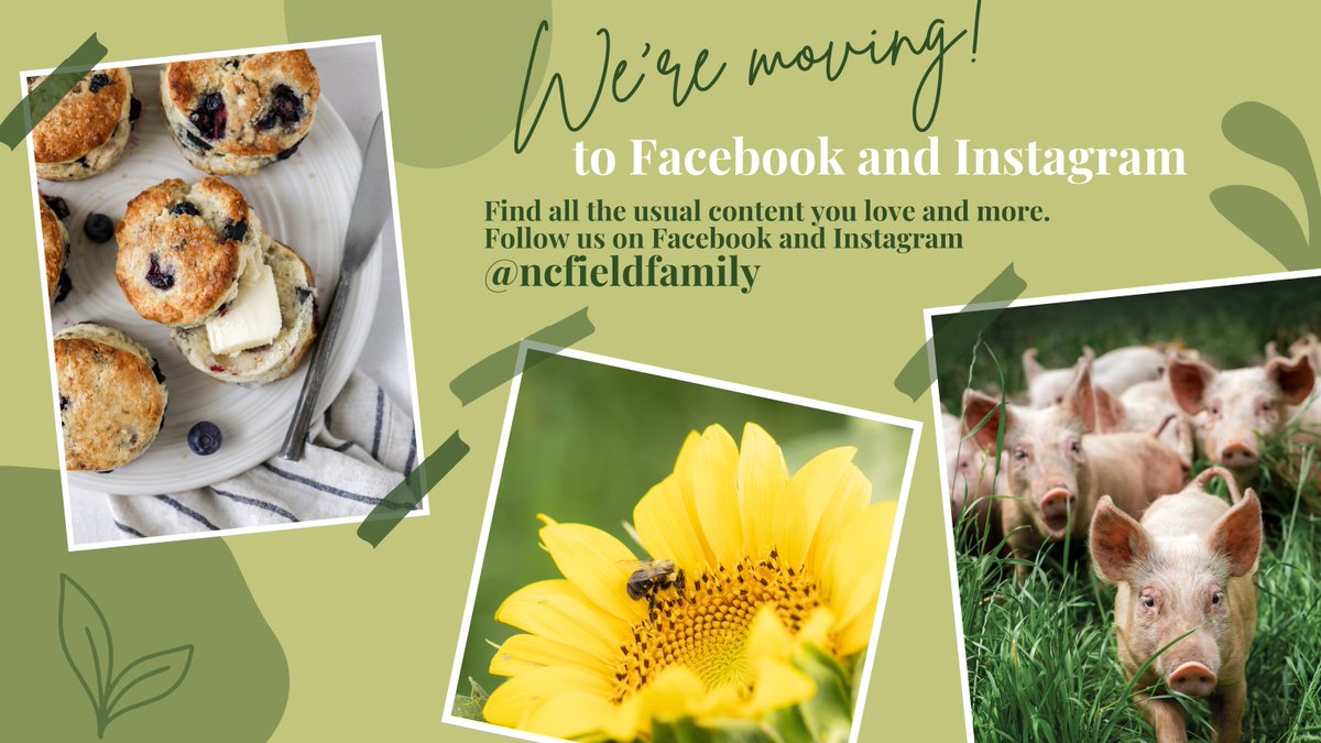 We're moving to Instagram and Facebook. 🧳 Find beautiful photos, tasty recipes and interesting farm stories on our Facebook and Instagram <a href="/ncfieldfamily/">NC Field & Family</a>