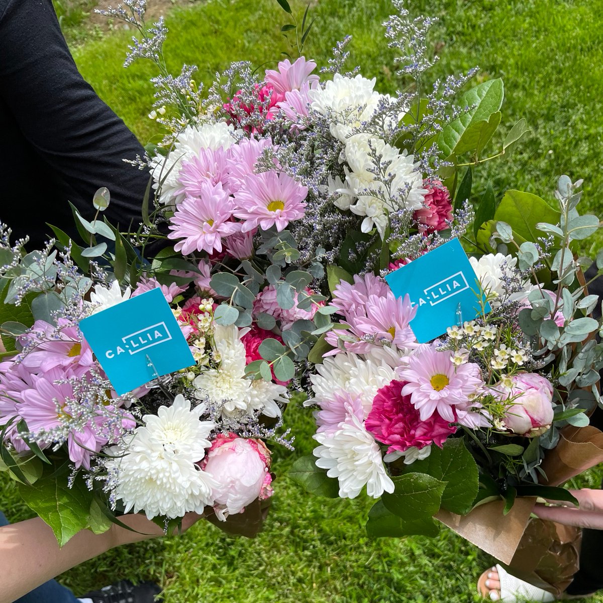 MorisonIns's tweet photo. Our Hamilton office received a beautiful surprise of some bouquets delivered from Callia Flowers! 💐 Thank you for these stunning bouquets! They really put a smile on our team's face #ThisCalliaMoment https://t.co/0t4YU95T8e