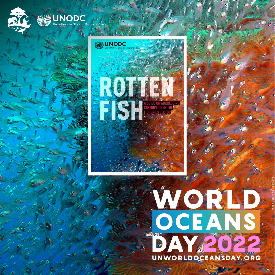 Crimes related to fisheries have significant economic, social &amp; environmental impacts🌊

Collective action is needed to tackle crimes such as #corruption &amp; protect the ocean that sustains us.

<a href="/UNODC/">UN Office on Drugs & Crime</a>'s #RottenFish guide shows us how: bit.ly/2Sr13OW

#UNWorldOceansDay