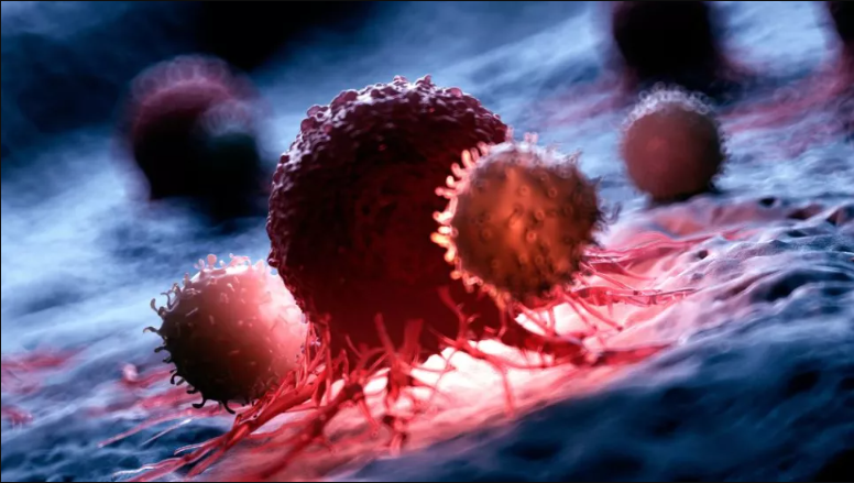pragma_reports's tweet photo. 𝐑𝐞𝐜𝐭𝐚𝐥 𝐂𝐚𝐧𝐜𝐞𝐫 𝐓𝐡𝐞𝐫𝐚𝐩𝐞𝐮𝐭𝐢𝐜𝐬-global market-2022 to 2027
@LillyPad @SeattleGenetics @pfizer @Merck @bmsnews @Advaxis @AstraZeneca 
Get a sample:https://t.co/iKzTHoc4Hh
#ancsm #bcsm #Cancer #cancertreatment #immunotherapy https://t.co/m4FY0v1NaF