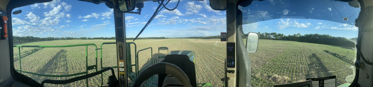 Good morning to spray some peas #spray22