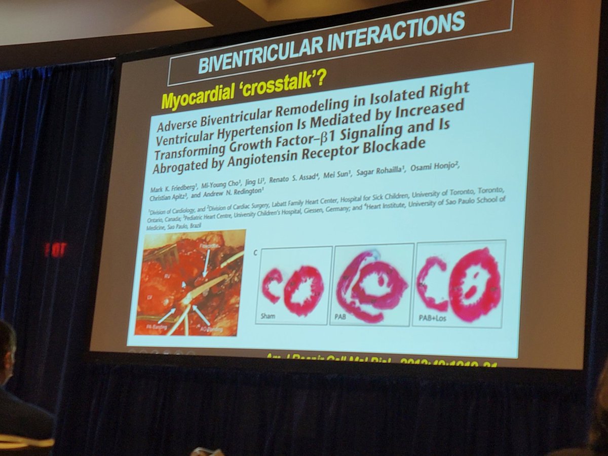 Dominique Vervoort tweet media