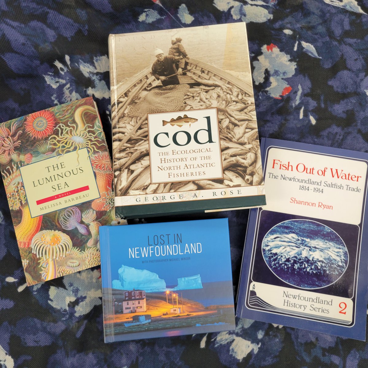 Happy #worldoceansday2022!
The ocean is a larger part of Newfoundland and Labrador culture, history, and identity. We have fiction, non-fiction, and art books about the #ocean, its beauty, research, and resources
#NaturalResources #Oceans #Photography <a href="/NL_Photo_Tours/">Newfoundland Photo Tours</a> <a href="/MsMBarbeau/">M. Barbeau</a>
