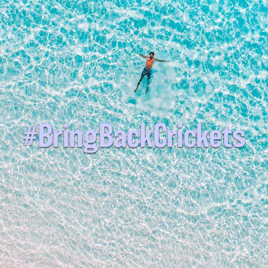 Today is World Ocean Day! We have one ocean, one climate and one future, together. Support us to provide one of the solutions: edible insects! 
🐛🌊🌍

Read more on World Ocean Day on HOP latest blog
👇
hopbar.co.uk/post/action-fo…