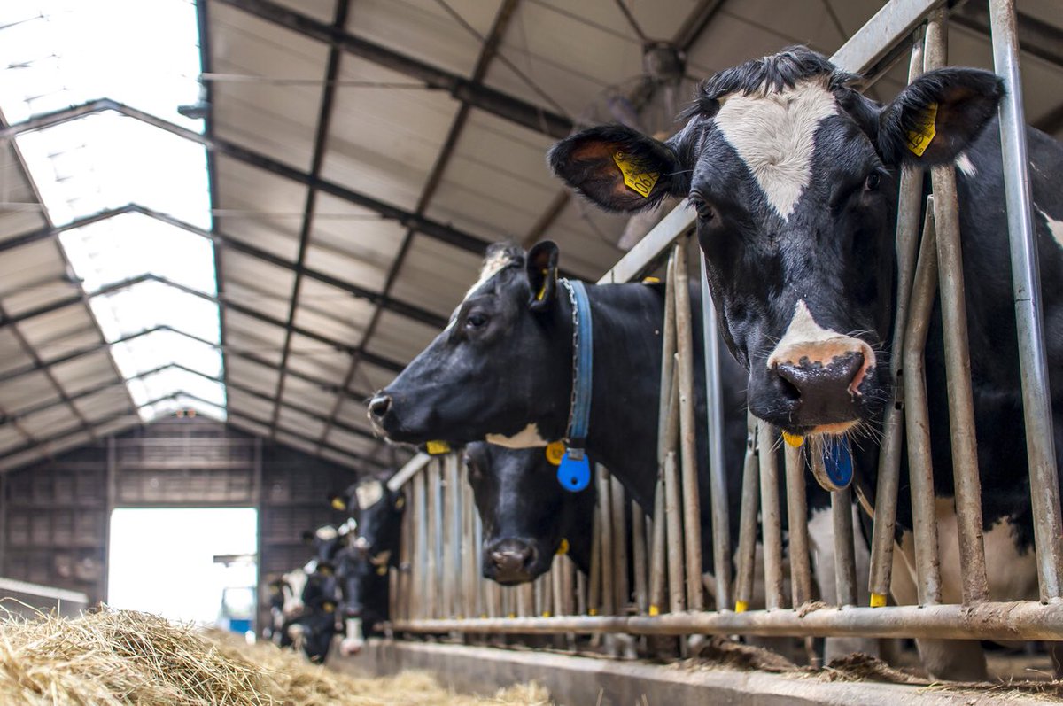 CDA - Overijssel / Nieuws / CDA wil met GS in debat over stikstofplannen kabinet voor Overijssel cda.nl/overijssel/act… #stikstof <a href="/CDAOverijssel/">CDA Overijssel</a> <a href="/ProvOverijssel/">Provincie Overijssel</a>