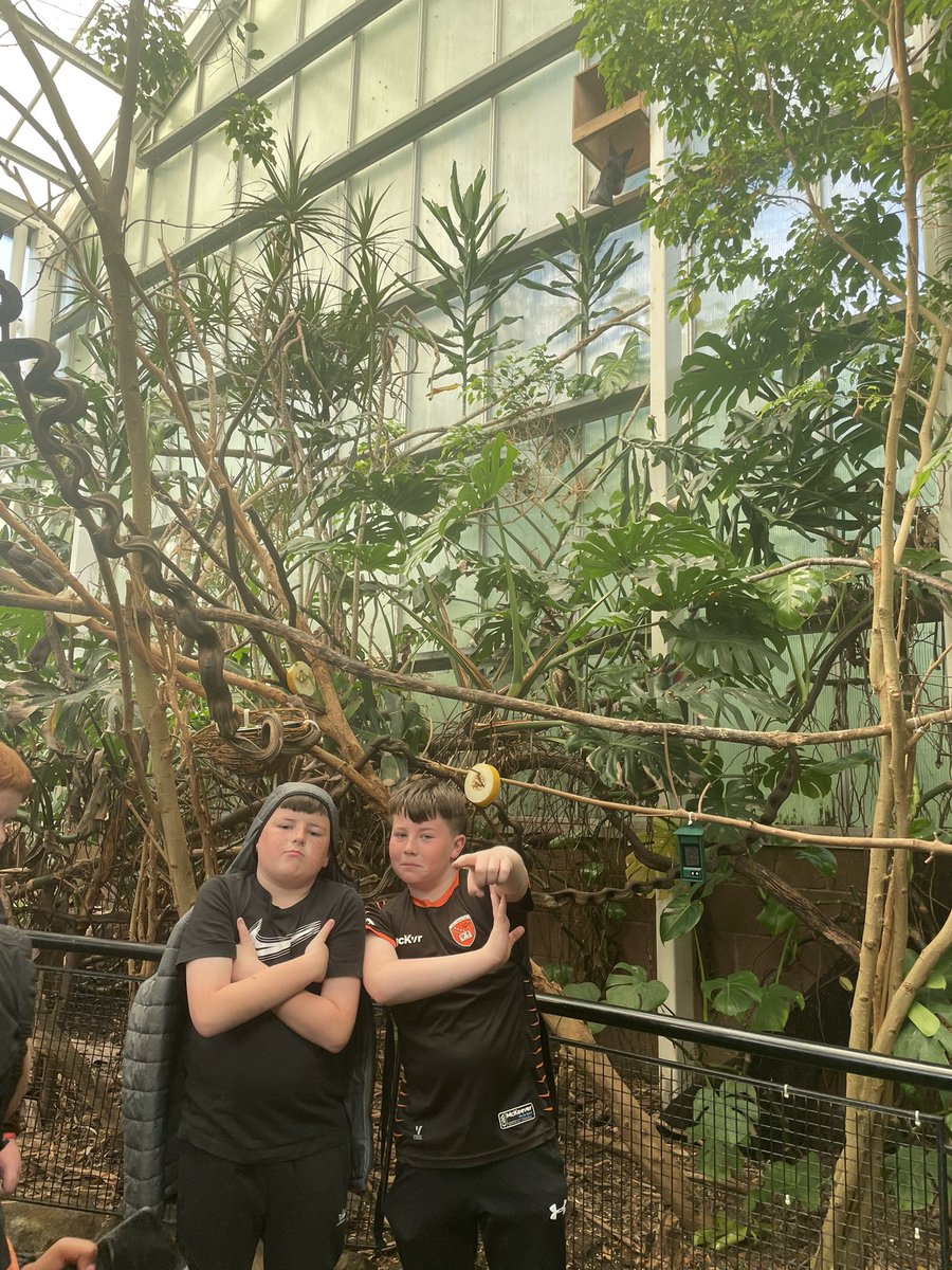 SJBC Science dept tweet media